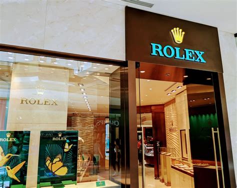 tampa rolex dealer